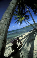 Image showing AMERICA CARIBBIAN SEA DOMINICAN REPUBLIC