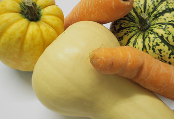 Image showing squashes and carrots