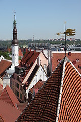Image showing EUROPE ESTONIA TALLINN 