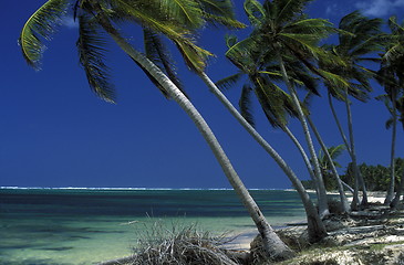 Image showing AMERICA CARIBBIAN SEA DOMINICAN REPUBLIC