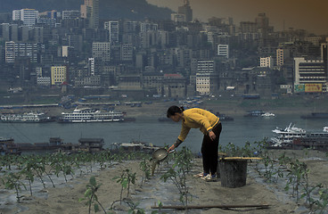 Image showing ASIA CHINA YANGZI RIVER