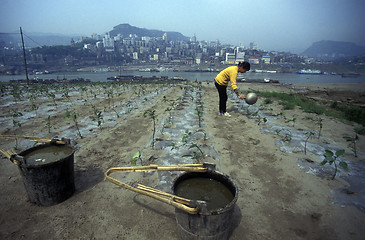 Image showing ASIA CHINA YANGZI RIVER