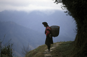 Image showing ASIA CHINA  GUANGXI LONGSHENG 