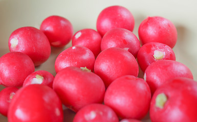 Image showing Radish vegetable 