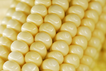 Image showing Corn closeup