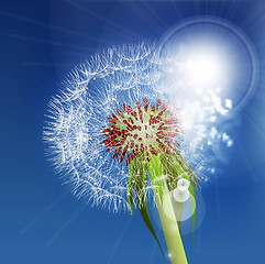 Image showing Dandelion seeds blown in the blue sky.