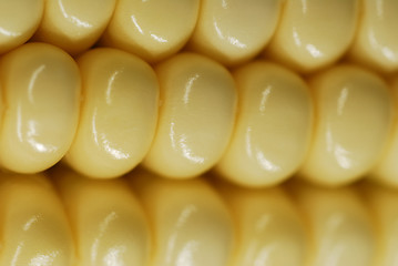 Image showing Corn closeup