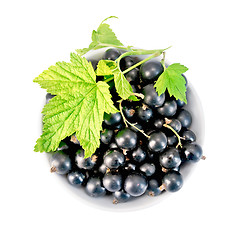 Image showing Black currants in bowl with leaf on top