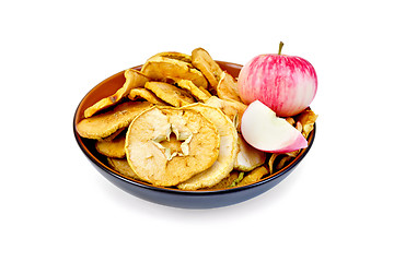 Image showing Apple fresh and slices of dried in bowl