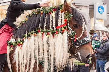 Image showing Traunstein/Deutschland/Bavaria - 06th of April: decorated horse by the Georgi's ride in Traunstein