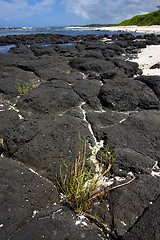 Image showing beach rock and stone