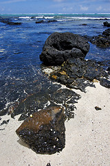 Image showing rock and stone in ile du cerfs mauritius