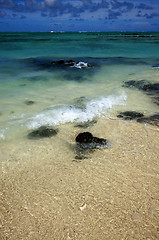 Image showing  ile du cerfs mauritius