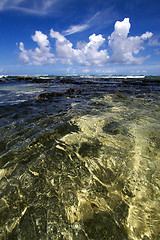 Image showing  stone in ile du cerfs mauritius