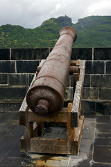 Image showing cannon in fort adelaide