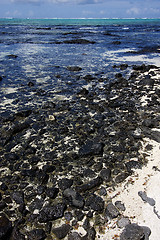 Image showing  rocks in ile du cerfs mauritius
