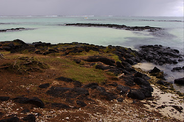 Image showing stone in belle mare mauritius