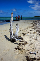 Image showing girls in ile du cerfs mauritius