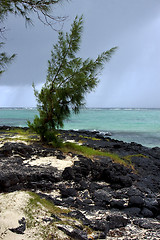 Image showing rock and stone in belle mare mauritius