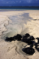 Image showing beach rock and stone in mauritius