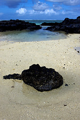 Image showing beach  and stone in mauritius