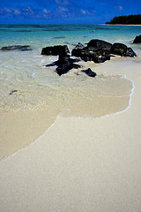 Image showing parachute  in ile du cerfs 