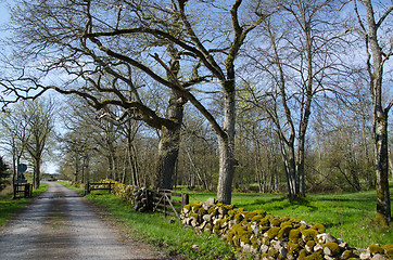 Image showing Old rural landscape