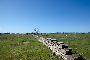 Image showing Plain grassland with stone wall