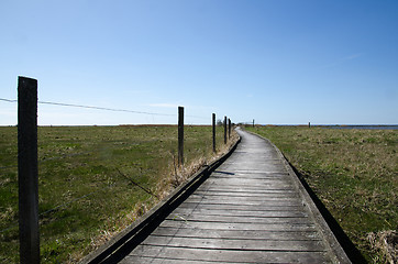 Image showing Wooden footbridge