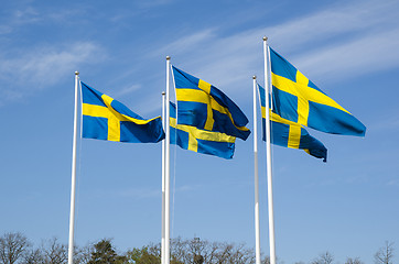 Image showing Swedish flags