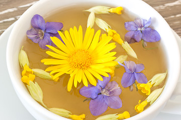 Image showing Cough tea with coltsfoot violets cowslip