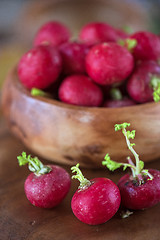 Image showing harvest of ripe radish.