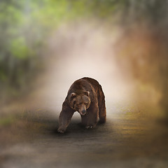 Image showing Grizzly Bear