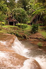 Image showing ASIA THAILAND CHIANG MAI FANG WASSERFALL