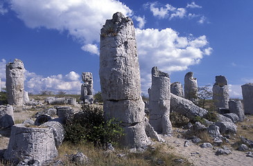 Image showing EUROPE BULGARIA VARNA