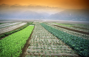 Image showing ASIA CHINA YANGZI RIVER