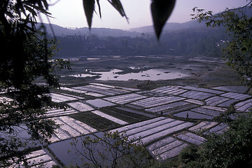 Image showing ASIA CHINA YUNNAN