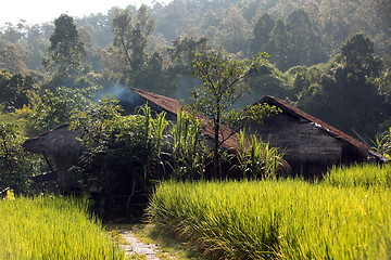 Image showing ASIA THAILAND CHIANG MAI CHIANG DAO MINORITY