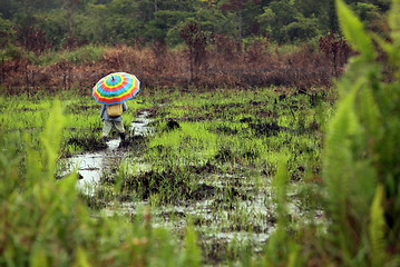 Image showing ASIA BRUNEI DARUSSALAM