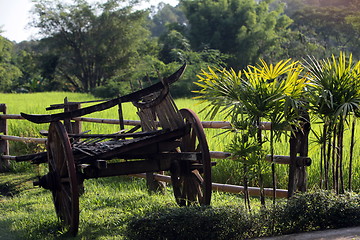 Image showing ASIA THAILAND CHIANG MAI CHIANG DAO MINORITY