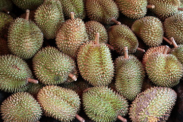 Image showing ASIA THAILAND CHIANG MAI MARKET