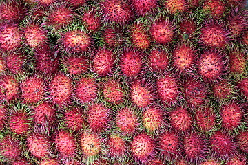 Image showing ASIA THAILAND CHIANG MAI MARKET