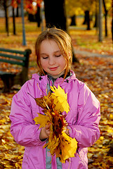 Image showing Autumn girl