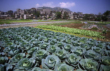 Image showing ASIA CHINA YANGZI RIVER