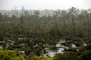 Image showing ASIA BRUNEI DARUSSALAM