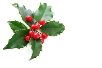 Image showing Christmas Holly