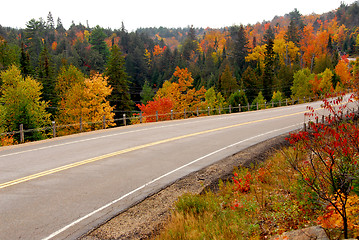 Image showing Fall highway