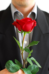 Image showing Man red rose