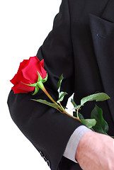 Image showing Man red rose