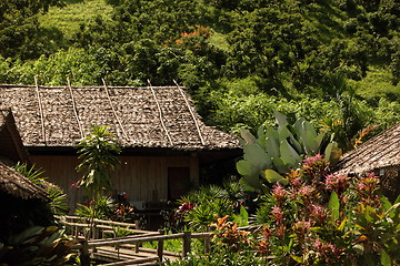 Image showing ASIA THAILAND CHIANG MAI CHIANG DAO MINORITY